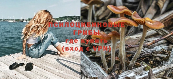 амф Покров