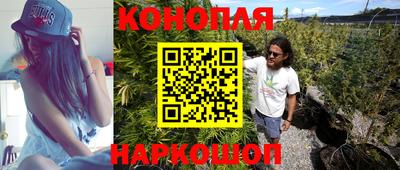 крисы Апрелевка