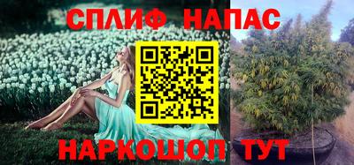 крисы Апрелевка