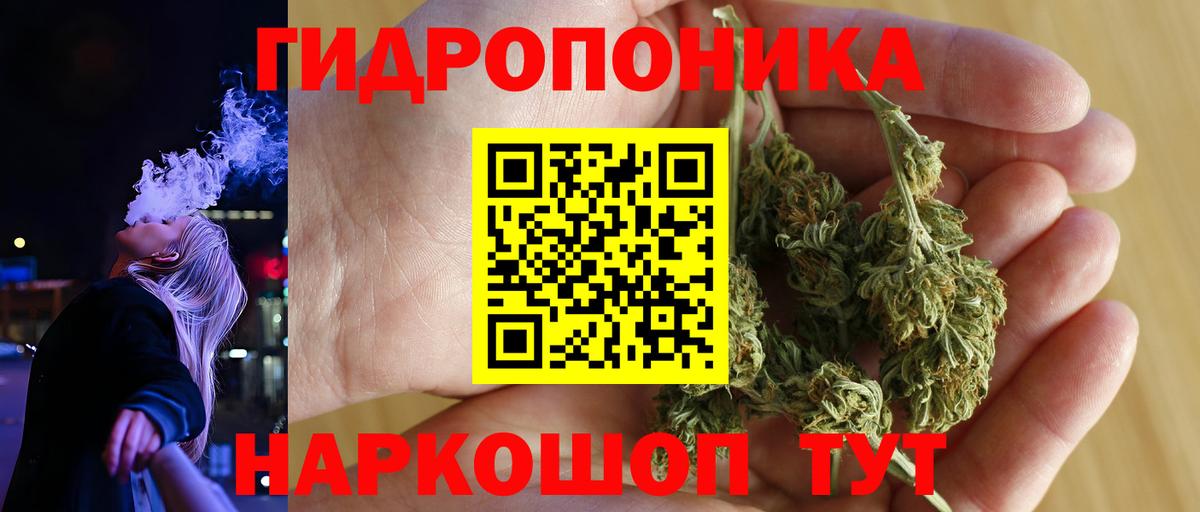Канабис ГИДРОПОН Аша